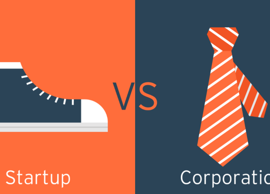 Start-ups or Corporate: Where to Work